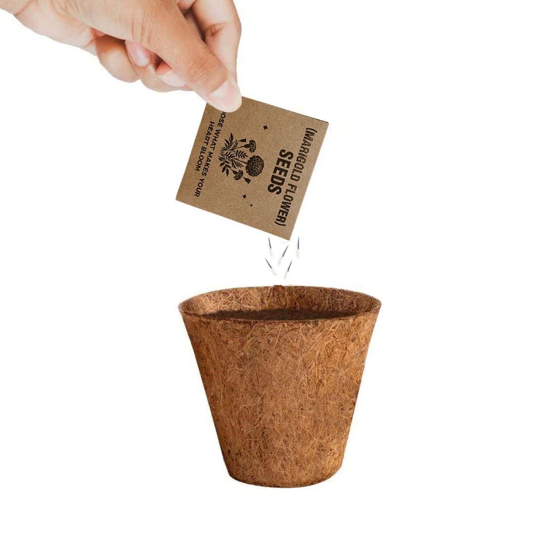 eco-neutral® All-in-One Plant Grow Kit